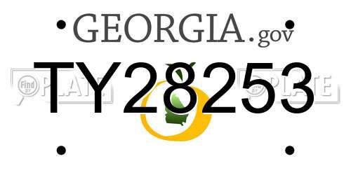 TY28253 Georgia License Plate