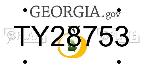 TY28753 Georgia License Plate