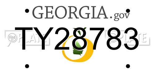 TY28783 Georgia License Plate