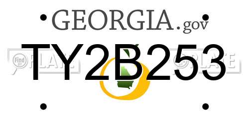 TY2B253 Georgia License Plate