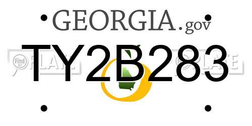 TY2B283 Georgia License Plate
