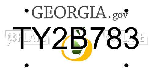 TY2B783 Georgia License Plate