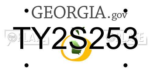 TY2S253 Georgia License Plate
