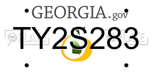 TY2S283 Georgia License Plate