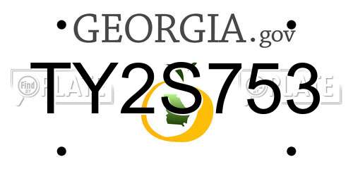 TY2S753 Georgia License Plate