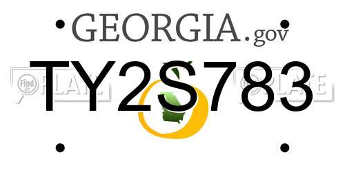 TY2S783 Georgia License Plate