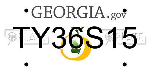 TY36S15 Georgia License Plate