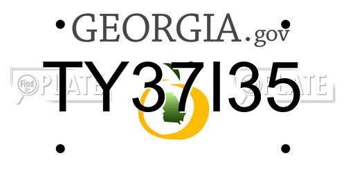 TY37I35 Georgia License Plate