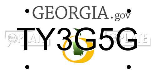TY3G5G Georgia License Plate