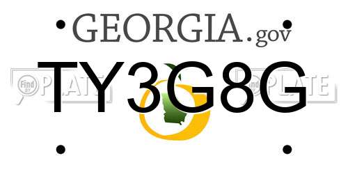 TY3G8G Georgia License Plate
