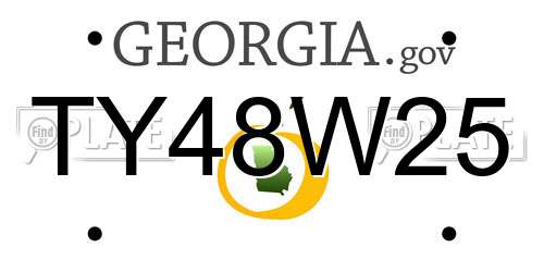 TY48W25 Georgia License Plate