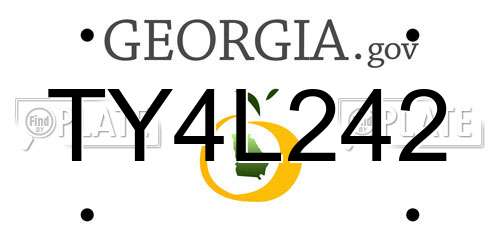 TY4L242 Georgia License Plate