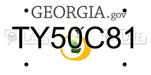 TY50C81 Georgia License Plate