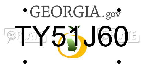 TY51J60 Georgia License Plate