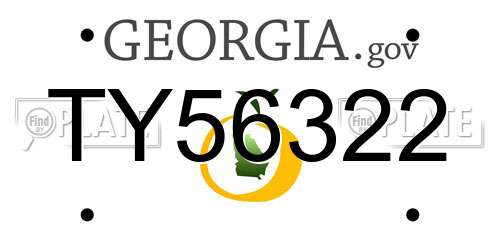 TY56322 Georgia License Plate