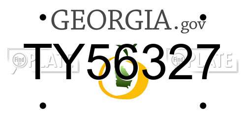 TY56327 Georgia License Plate