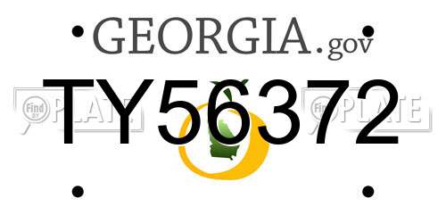 TY56372 Georgia License Plate