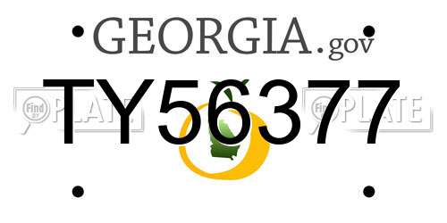 TY56377 Georgia License Plate