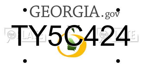 TY5C424 Georgia License Plate