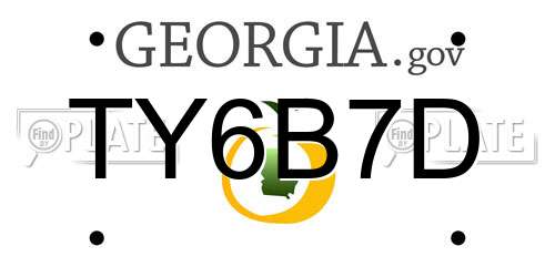 TY6B7D Georgia License Plate