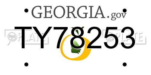 TY78253 Georgia License Plate