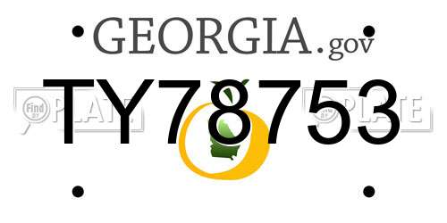 TY78753 Georgia License Plate