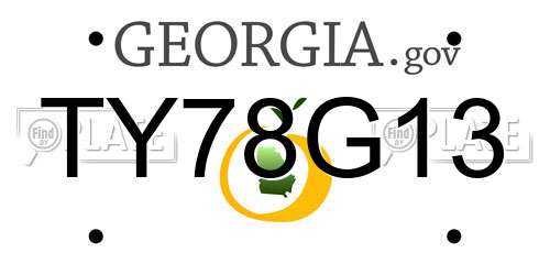 TY78G13 Georgia License Plate
