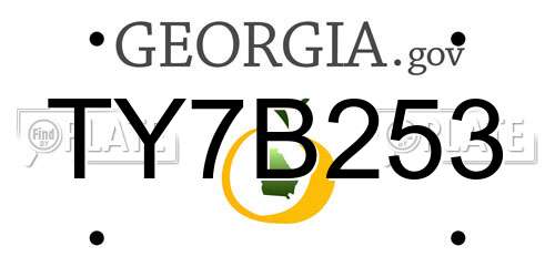 TY7B253 Georgia License Plate
