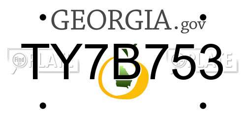 TY7B753 Georgia License Plate