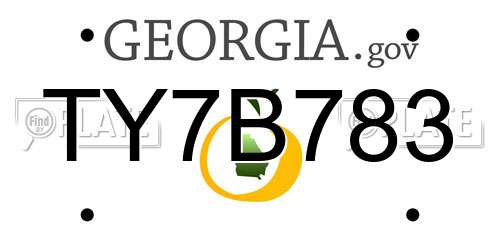 TY7B783 Georgia License Plate