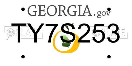 TY7S253 Georgia License Plate