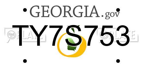 TY7S753 Georgia License Plate