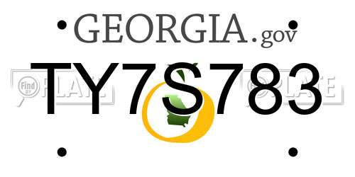 TY7S783 Georgia License Plate