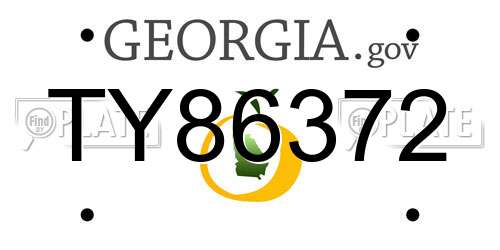 TY86372 Georgia License Plate