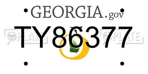 TY86377 Georgia License Plate