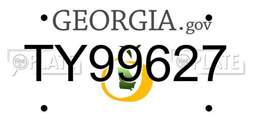 TY99627 Georgia License Plate