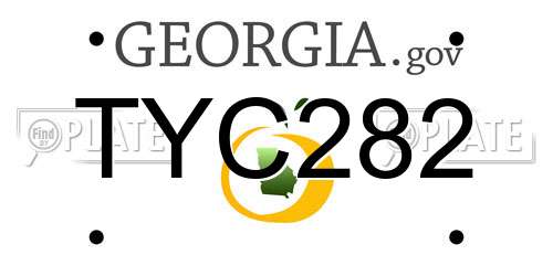TYC282 Georgia License Plate