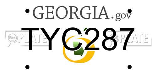 TYC287 Georgia License Plate