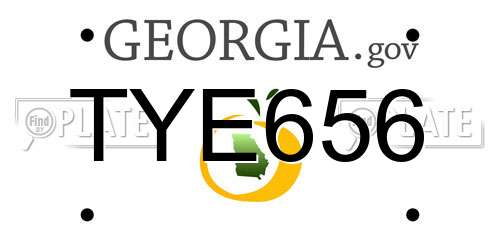 TYE656 Georgia License Plate