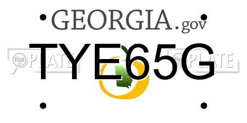 TYE65G Georgia License Plate
