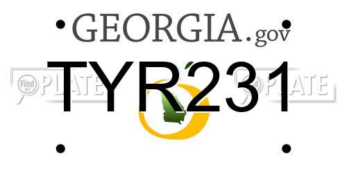 TYR231 Georgia License Plate