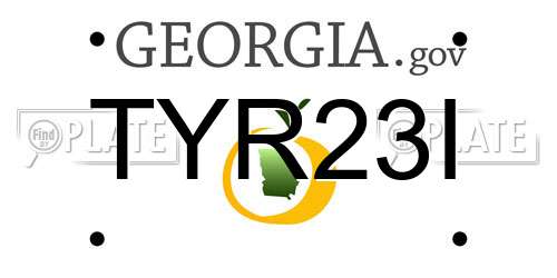 TYR23I Georgia License Plate