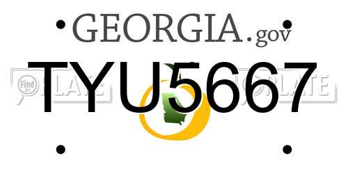 TYU5667 Georgia License Plate