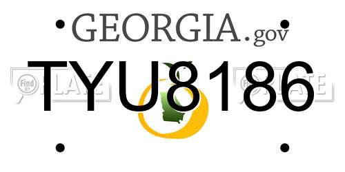 TYU8186 Georgia License Plate