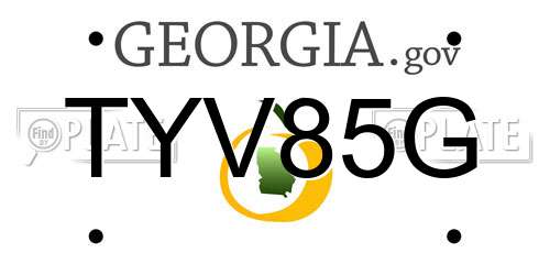 TYV85G Georgia License Plate