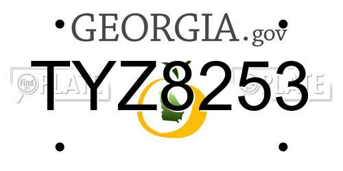 TYZ8253 Georgia License Plate