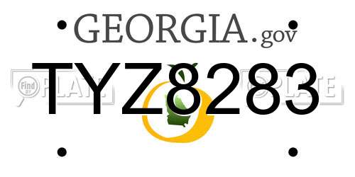 TYZ8283 Georgia License Plate