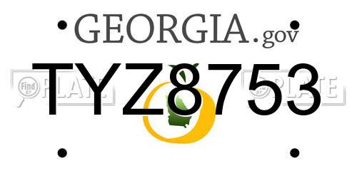 TYZ8753 Georgia License Plate