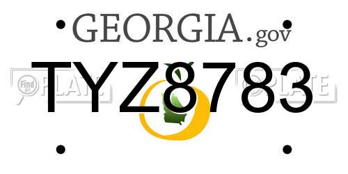 TYZ8783 Georgia License Plate