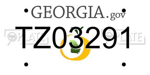 TZ03291 Georgia License Plate